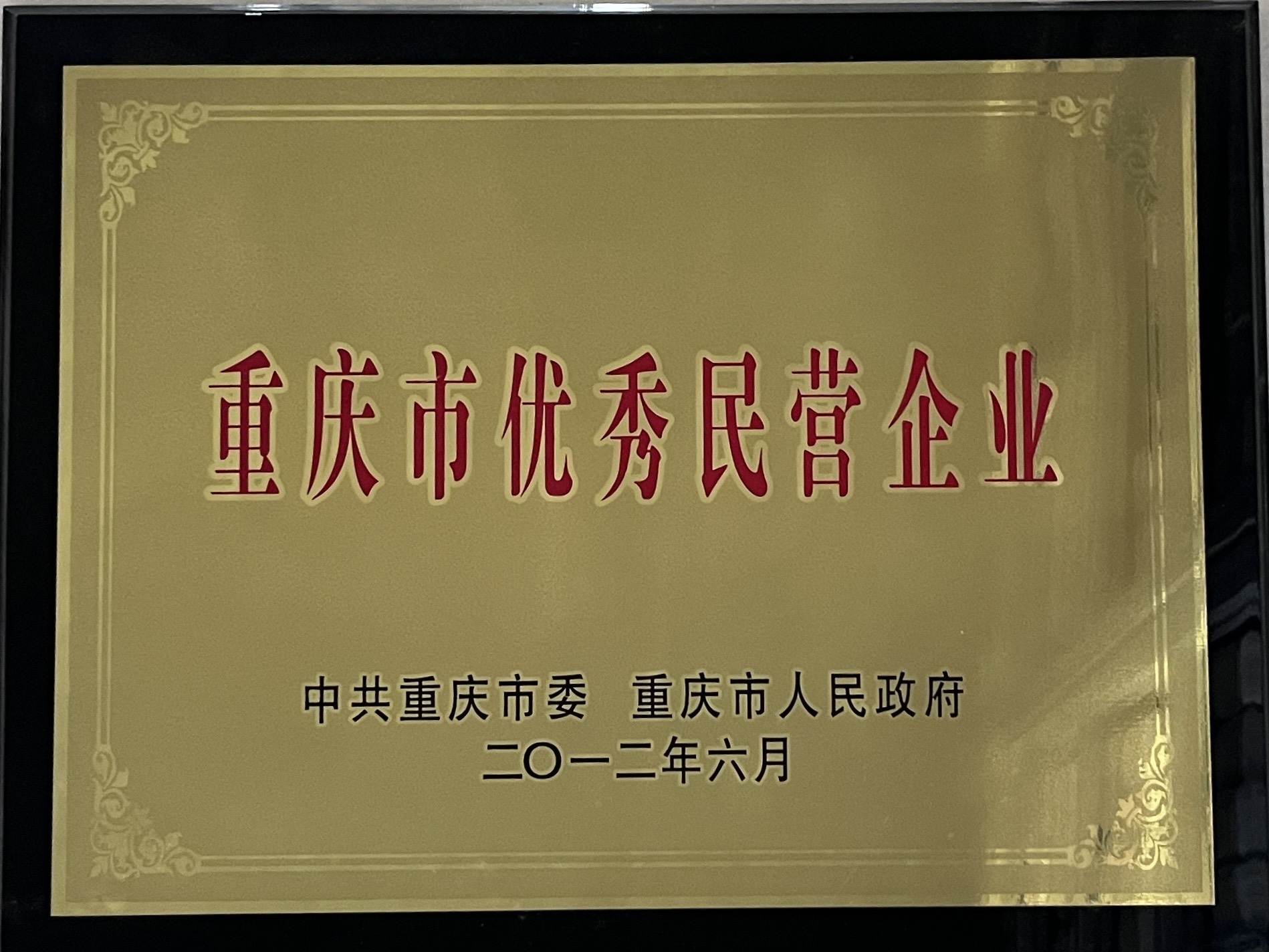 重庆市优秀民营企业（重庆市人民政府）2012.6.jpg